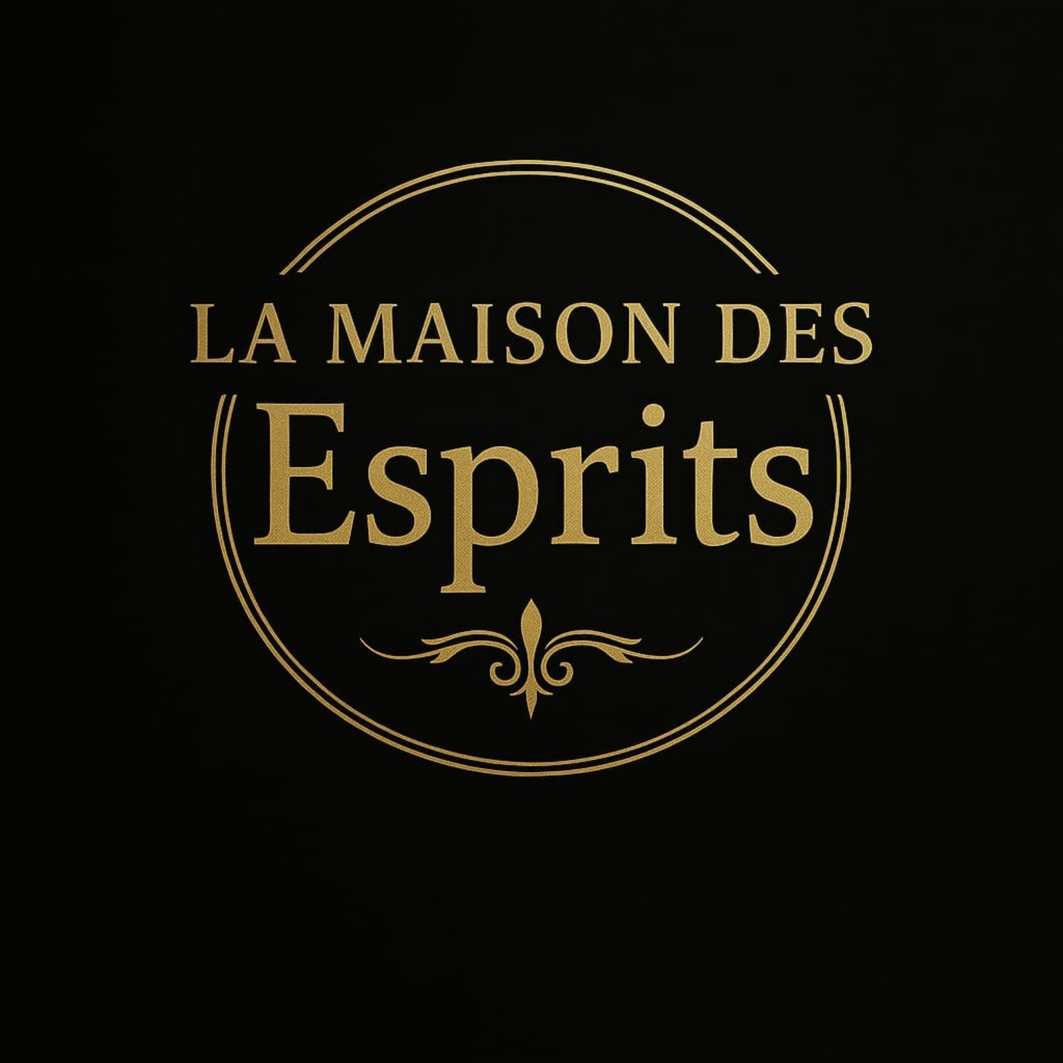 Logo La Maison des Esprits